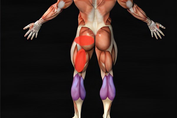 Как вылечить атрофию мышц ног thumbnail