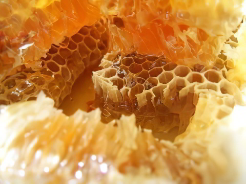 Лечит ли мед колит