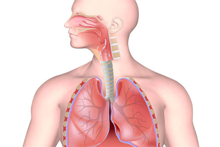 Симптомы клебсиеллы пневмония в кишечнике thumbnail