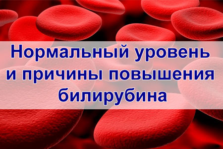 Высокий билирубин в крови у взрослых | Клиника Медика24